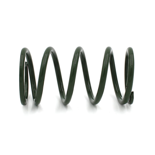 EPI 24+ Polaris RZR XP/4 / Xpedition XP/ADV Secondary Clutch Spring Green