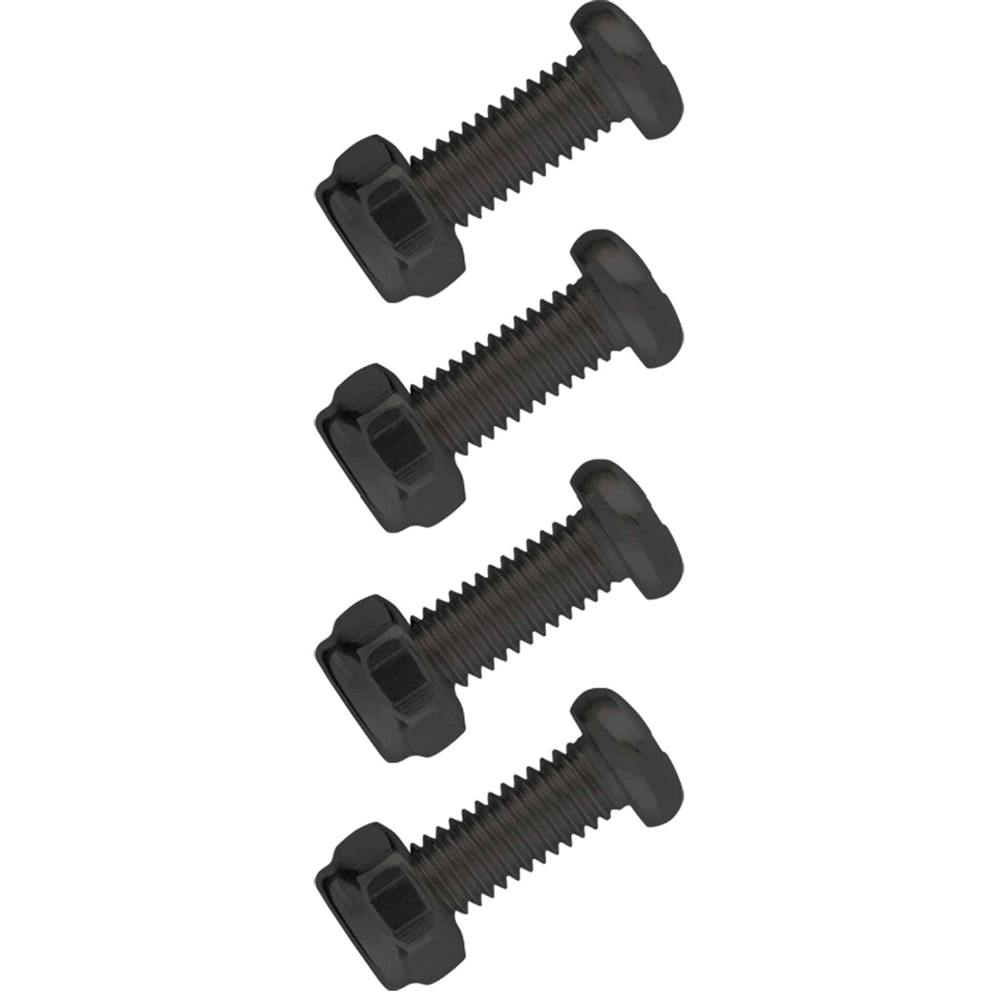 Stainless Steel License Plate Fasteners, Black