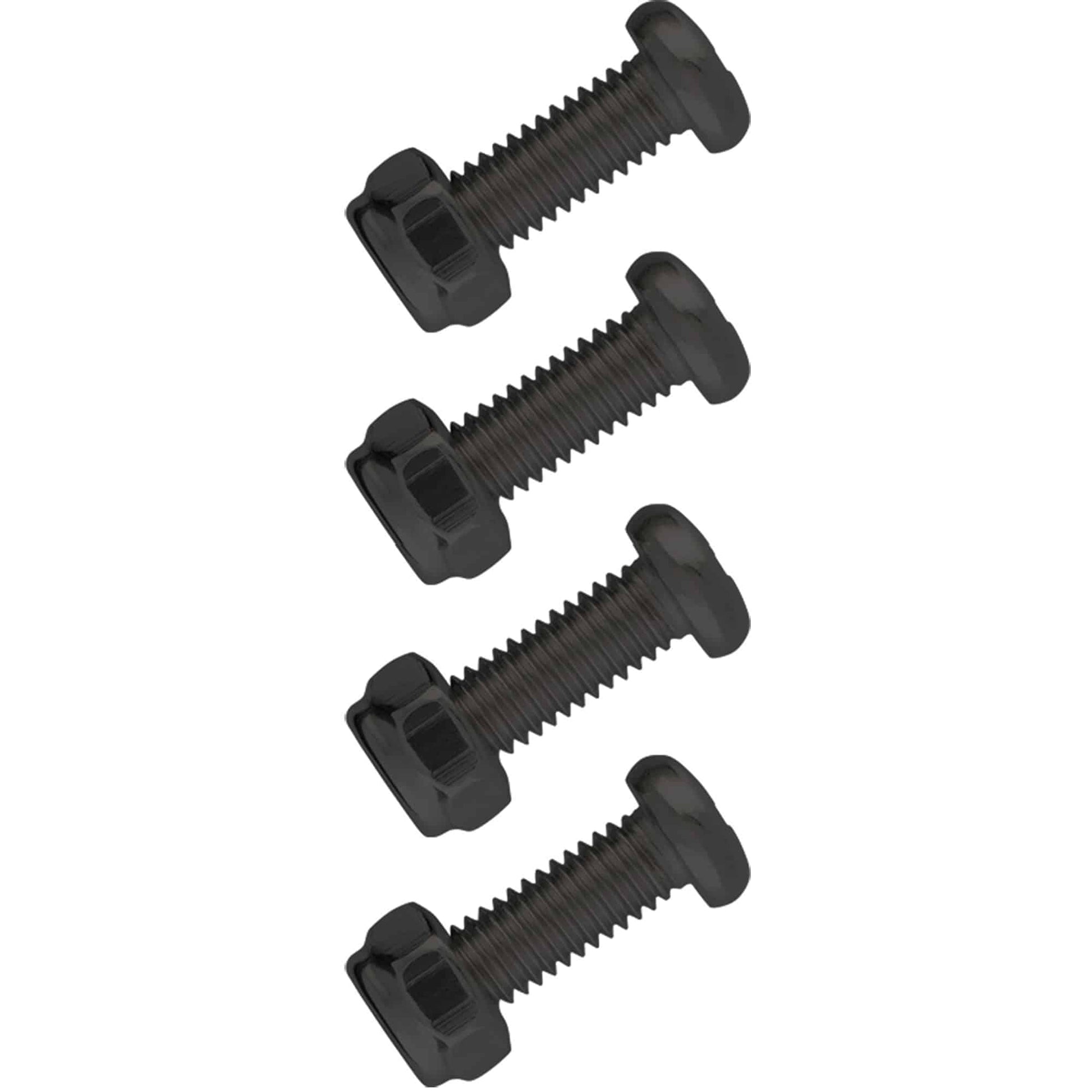 Stainless Steel License Plate Fasteners, Black