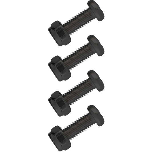 Stainless Steel License Plate Fasteners, Black
