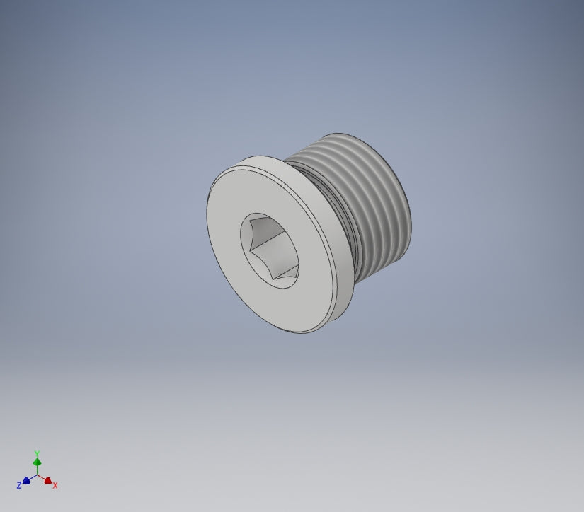 (40+41) Fill Plug + O-Ring