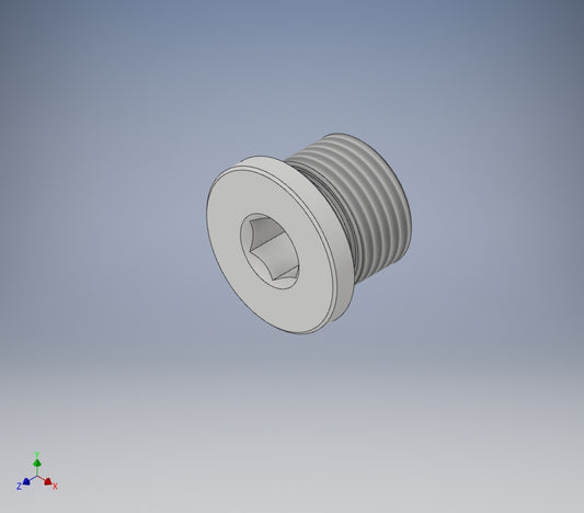 (40+41) Fill Plug + O-Ring