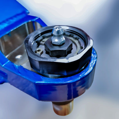 Modified Nut & Cap