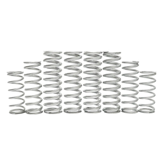 Kawasaki Teryx H2 Dual Rate Spring Kit
