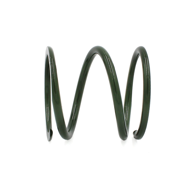 EPI 24+ Polaris RZR XP 1000/ Xpedition XP/ADV Primary Clutch Spring Dark Green