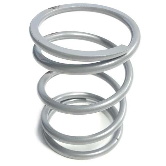 AA Polaris P90X Primary Clutch Springs