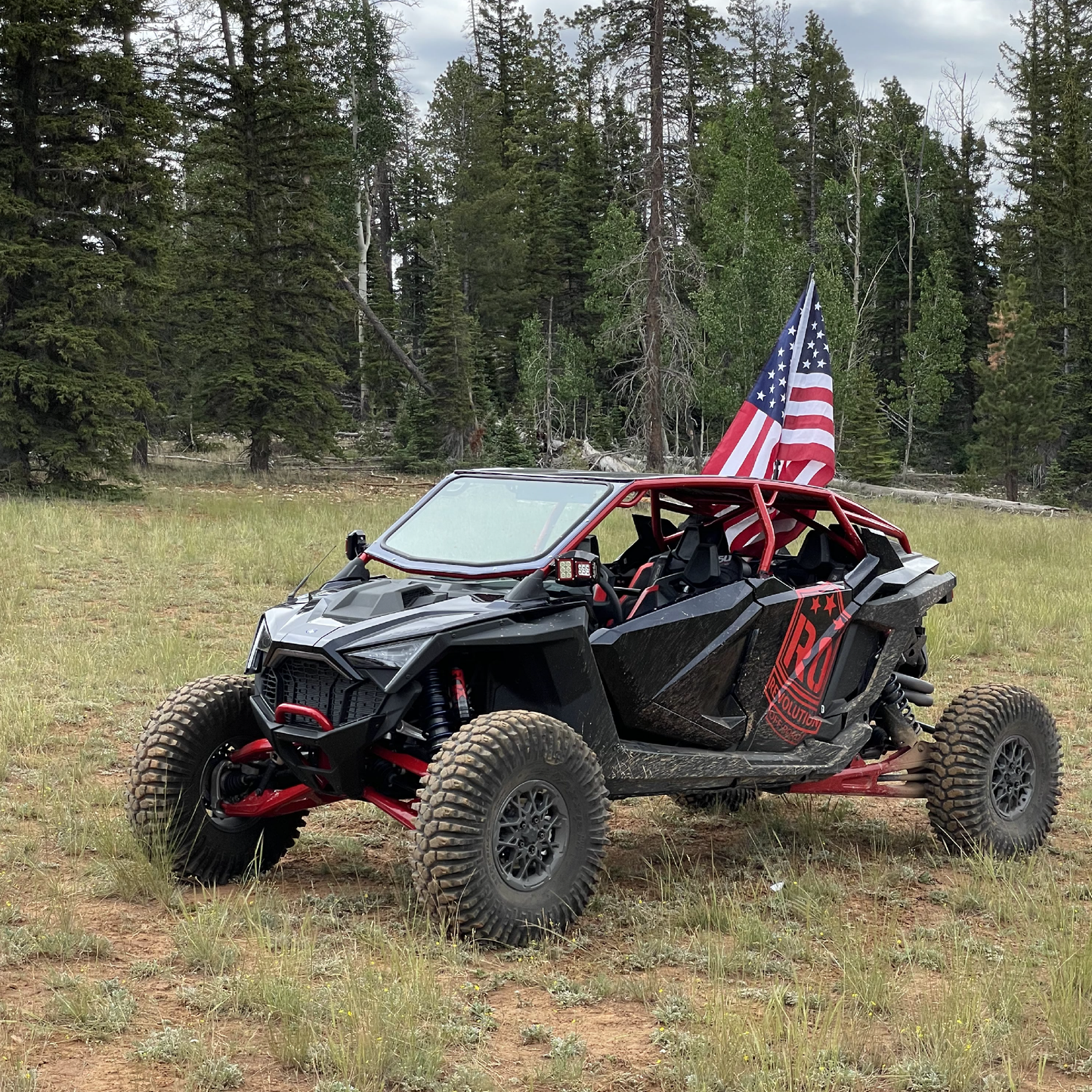 Pro R 4-Seat "FastBack" Roll Cage