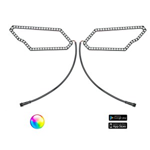 187 STYLE CAN-AM HALOS W CONTROL HARNESS